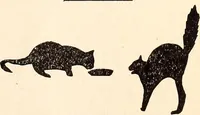 An illustration from The Kindergarten-Primary Magazine (1915)