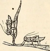 An illustration from The Kindergarten-Primary Magazine (1915)
