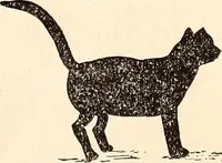 An illustration from The Kindergarten-Primary Magazine (1915)