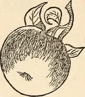 An illustration from The Kindergarten-Primary Magazine (1915)