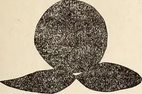 An illustration from The Kindergarten-Primary Magazine (1915)