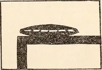 An illustration from The Kindergarten-Primary Magazine (1915)