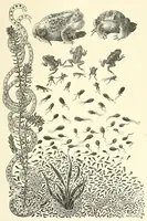 An illustration from Kindergarten review (1891)