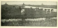 Picture 11 of 13 from Kindergarten review (1891), leaf 495