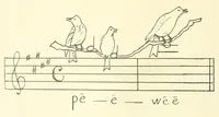 Picture 13 of 13 from Kindergarten review (1891), leaf 560