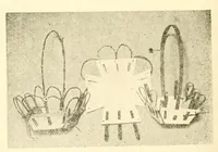 Picture 10 of 12 from Kindergarten review (1891), leaf 550
