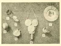 Picture 12 of 12 from Kindergarten review (1891), leaf 622