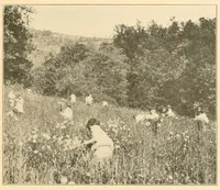 An illustration from Kindergartens, music, sewing, cooking, modern languages in elementary schools (1916)