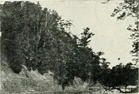 Picture 57 of 61 from King Edward Hotel guests' book (1906), leaf 69