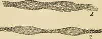 An illustration from Kinks on wool carding and spinning (1912)