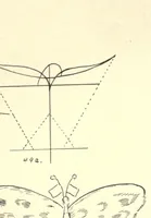 Picture 2 of 6 from Kitecraft and kite tournaments (1914), leaf 42