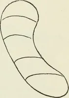 Picture 124 of 138 from Kitecraft and kite tournaments (1919), leaf 118