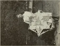 Picture 11 of 138 from Kitecraft and kite tournaments (1919), leaf 29