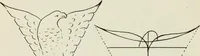 An illustration from Kitecraft and kite tournaments (1919)