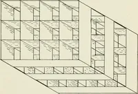 Picture 39 of 138 from Kitecraft and kite tournaments (1919), leaf 46