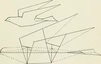 Picture 60 of 138 from Kitecraft and kite tournaments (1919), leaf 56