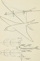 Picture 61 of 138 from Kitecraft and kite tournaments (1919), leaf 57