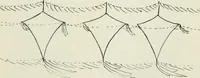 An illustration from Kitecraft and kite tournaments (1919)