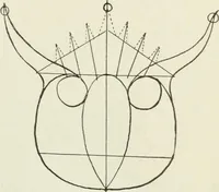 An illustration from Kitecraft and kite tournaments (1919)