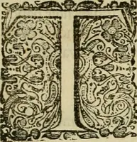 An illustration from Klare onderrichtinge der voortreffelijcke worstel-konst : verhandelende hoemen in alle voorvallen van twist in handtgemeenschap, sich kan hoeden : en alle aengrepen, borst-stooten, vuyst-slagen &c. versetten ... (1674)