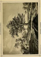 Picture 48 of 144 from Klassischer Bilderschatz (1889), leaf 130