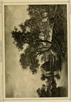 Picture 131 of 144 from Klassischer Bilderschatz (1889), leaf 300