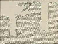 An illustration from Kleine Schriften (1901)