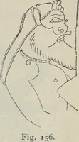 Picture 66 of 88 from Kleine Schriften (1901), leaf 248