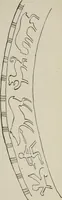 An illustration from Kleine Schriften (1901)