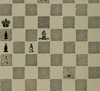 An illustration from Knights and bishops (1909)