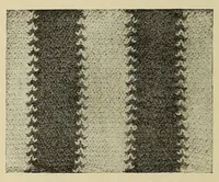 An illustration from Knitted fabrics (1919)