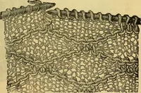 An illustration from Knitting and crocheting (1885)