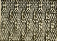 An illustration from Knitting : how to knit and what to knit... (1884)
