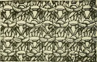 An illustration from Knitting : how to knit and what to knit... (1884)