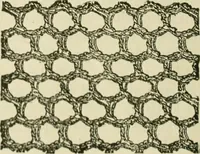 An illustration from Knitting : how to knit and what to knit... (1884)