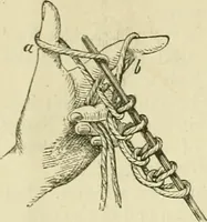 An illustration from Knitting : how to knit and what to knit... (1884)