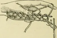 An illustration from Knitting : how to knit and what to knit... (1884)