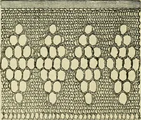 An illustration from Knitting : how to knit and what to knit... (1884)