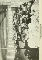 An illustration from Knitting; a manual of practical instruction in the mechanical details of all types of knitting machinery, their operation, adjustment, and care (1909)