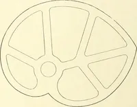 Picture 9 of 271 from Knitting; a manual of practical instruction in the mechanical details of all types of knitting machinery, their operation, adjustment, and care (1909), leaf 21