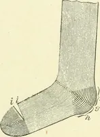 Picture 186 of 271 from Knitting; a manual of practical instruction in the mechanical details of all types of knitting machinery, their operation, adjustment, and care (1909), leaf 250