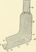 Picture 220 of 271 from Knitting; a manual of practical instruction in the mechanical details of all types of knitting machinery, their operation, adjustment, and care (1909), leaf 299