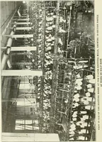 Picture 238 of 271 from Knitting; a manual of practical instruction in the mechanical details of all types of knitting machinery, their operation, adjustment, and care (1909), leaf 331