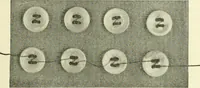 Picture 249 of 271 from Knitting; a manual of practical instruction in the mechanical details of all types of knitting machinery, their operation, adjustment, and care (1909), leaf 348
