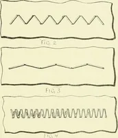Picture 250 of 271 from Knitting; a manual of practical instruction in the mechanical details of all types of knitting machinery, their operation, adjustment, and care (1909), leaf 352