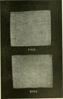 An illustration from Knitting; a manual of practical instruction in the mechanical details of all types of knitting machinery, their operation, adjustment, and care (1909)