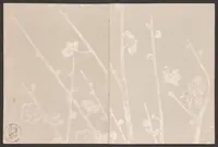 An illustration from Koetsu utaibon hyakuban (1600)