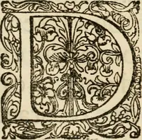 An illustration from Komste van Zyne Majesteit Willem III. koning van Groot Britanje, enz. in Holland, of, Te omstandelyke beschryving van alles, : het welke op des zelfs komste en geduurende zyn verblyf, in's Graavenhaage en elders, ten teeken van vreugde en eere, is opgerecht en voorgevallen (1691)