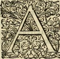 Picture 4 of 29 from Komste van Zyne Majesteit Willem III. koning van Groot Britanje, enz. in Holland, of, Te omstandelyke beschryving van alles, : het welke op des zelfs komste en geduurende zyn verblyf, in's Graavenhaage en elders, ten teeken van vreugde en eere, is opgerecht en voorgevallen (1691), leaf 20