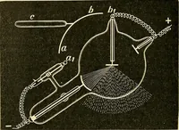 An illustration from Konstruktion, Bau und Betrieb von Funkeninduktoren und deren Anwendung, mit besonderer Berücksichtigung der Röntgenstrahlen-Technik (1904)